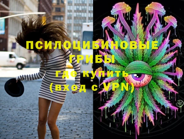 ECSTASY Краснослободск