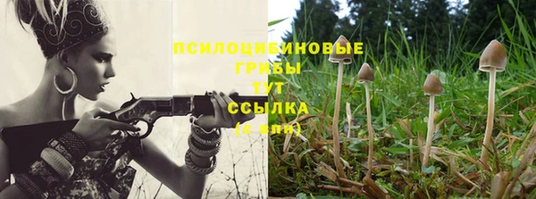 ПСИЛОЦИБИНОВЫЕ ГРИБЫ Коряжма