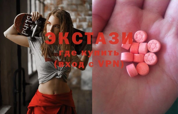 ECSTASY Краснослободск