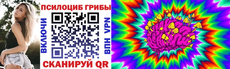 omg зеркало магазин наркотиков Кунгур Галлюциногенные грибы MAGIC MUSHROOMS