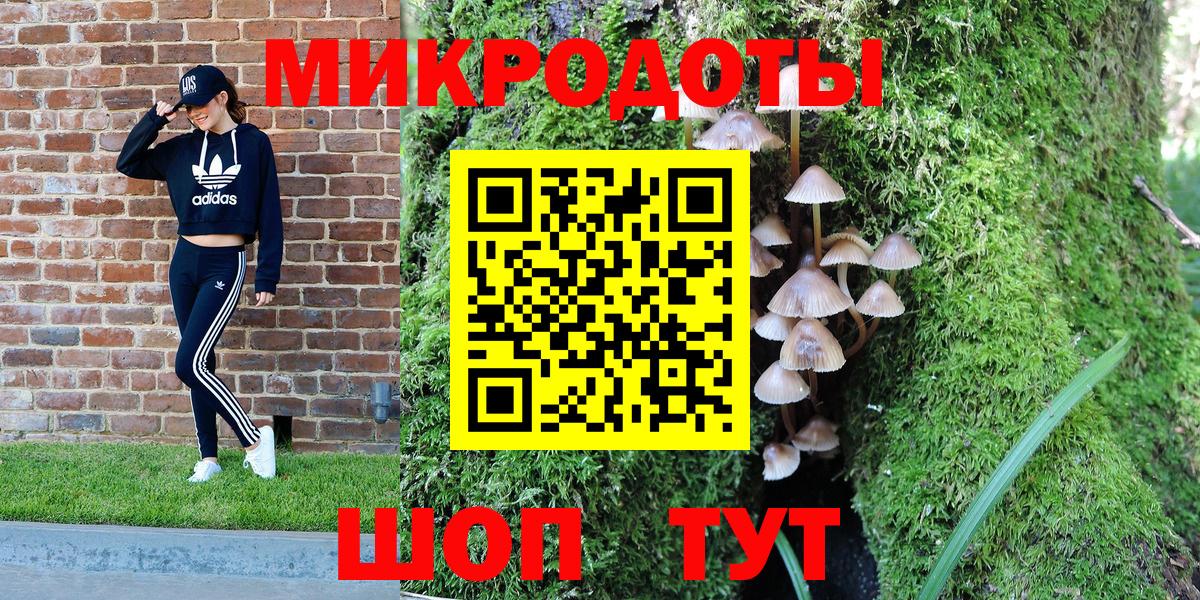 Псилоцибиновые грибы прущие грибы Кунгур