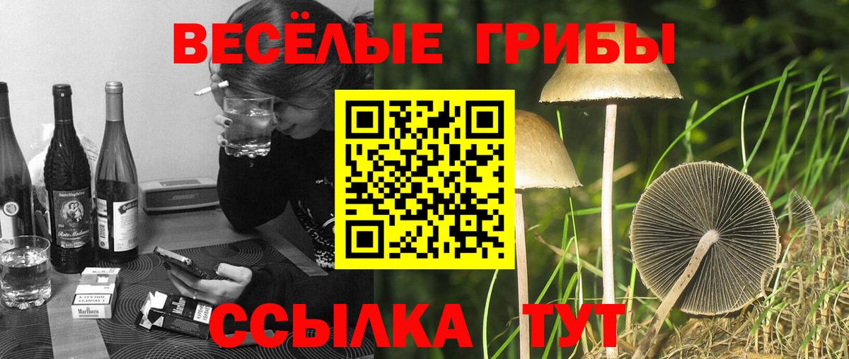 Кунгур  КОКАИН  ГАШ  Где найти наркотики?  Вход с VPN  Марихуана  Мефедрон   Alpha-PVP СК кристаллы  Экстази 