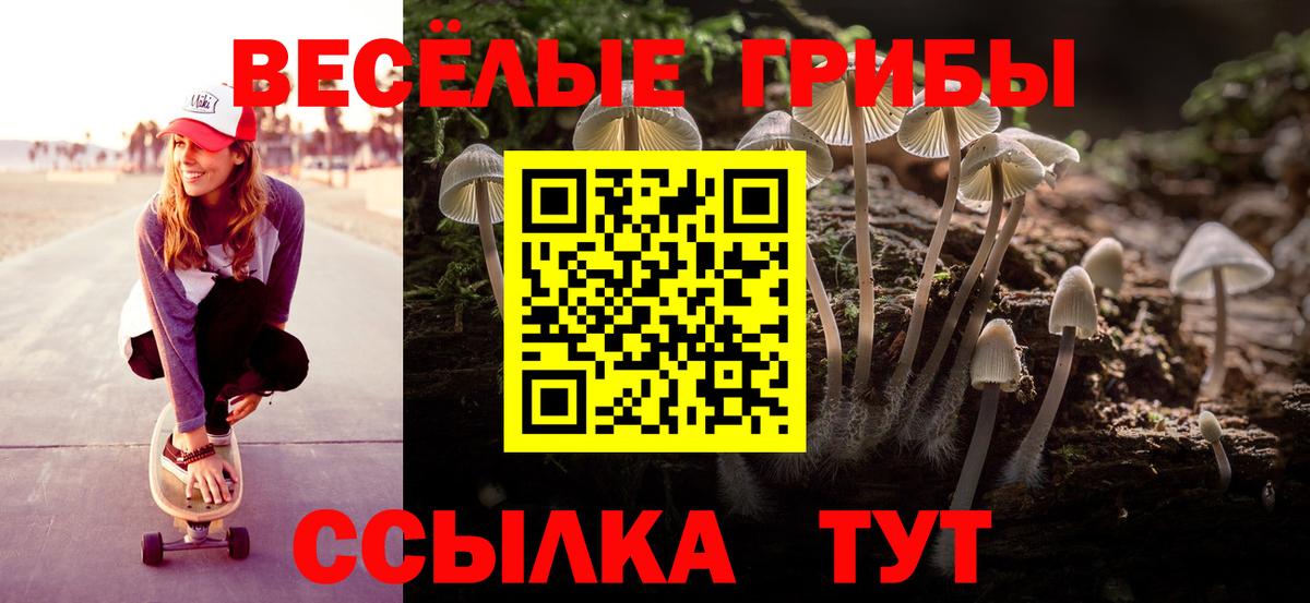 Кунгур  Галлюциногенные грибы Psilocybe  Вход с VPN 